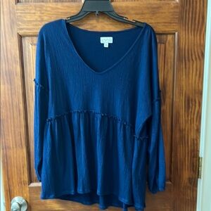 Wonderly Blue Ruffled Long Sleeve Tunic